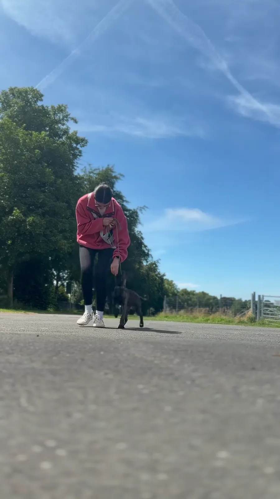 A person bending towards a small black dog on a country lane